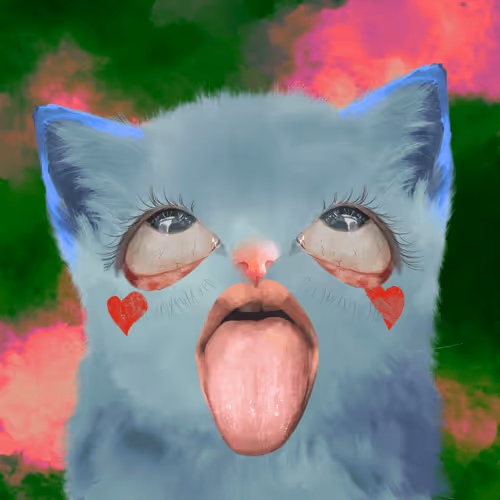 The Cursed Cats