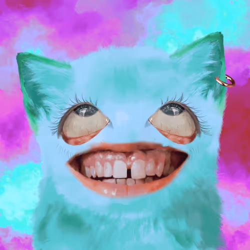 The Cursed Cats
