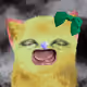 1721