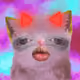 1729