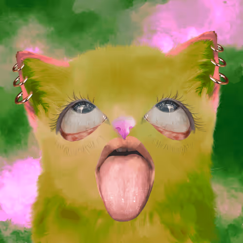 The Cursed Cats