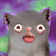 1511