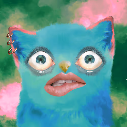 The Cursed Cats