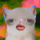 1667