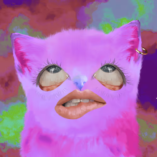 The Cursed Cats