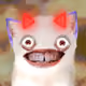 1706