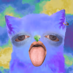 Cursed Cat #1621