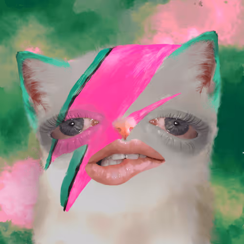 The Cursed Cats