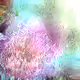 288