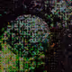 294