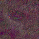 52