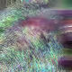91