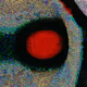 59