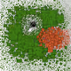 Square Pepe