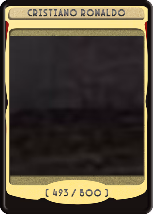 Item #493 Media