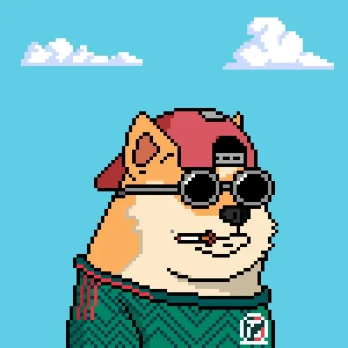 Doge Legendary