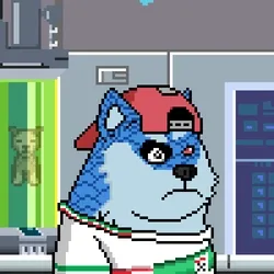 Doge Heroes Legendary #968