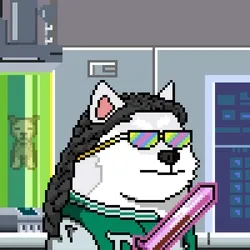 Doge Heroes Legendary #981