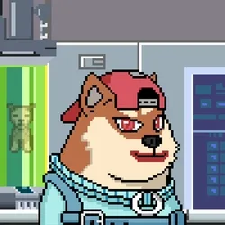 Doge Heroes Legendary #186