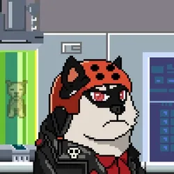 Doge Heroes Legendary #765