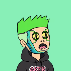 Aker #550