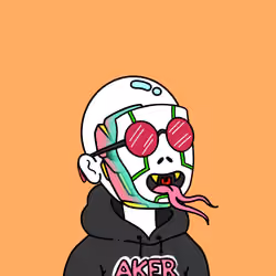 Aker #1101