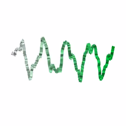 Wiggly #4325