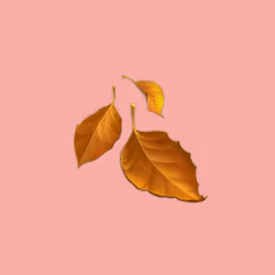 EtherEmoji #7660