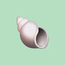 EtherEmoji #606