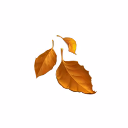 EtherEmoji #1578
