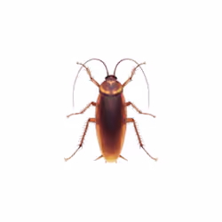 EtherEmoji #2836