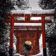 Phantom of Samurai