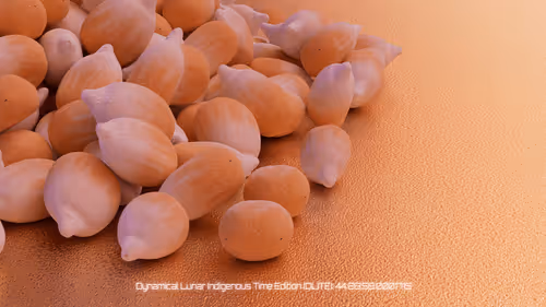 Item #87329314989335775336461258166202186746543912634975442811164605982738420999884 Media