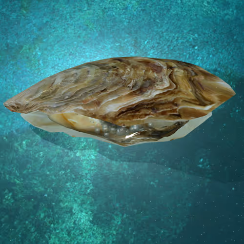 Item #21448038574106388099498729698156229932988054978307315072895959449711736813810 Media