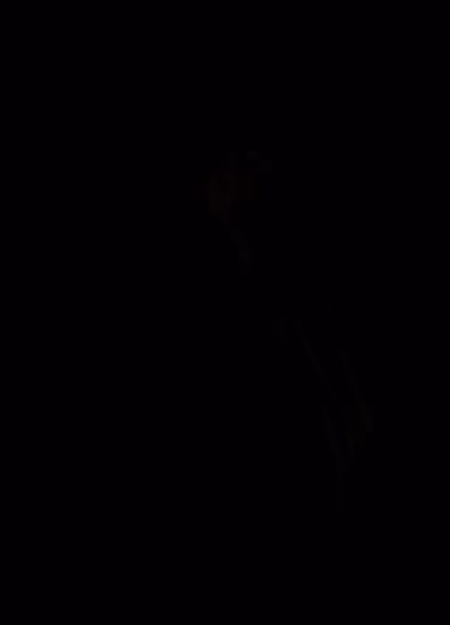 Item #71287885707144772904583885620176228016693055630019732369863905836193834145326 Media