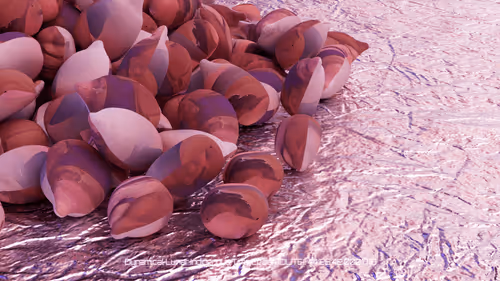 Item #87329314989335775336461258166202186746543912634975442811164605982738420999868 Media