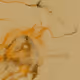 67