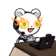 5314