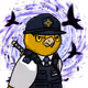 8116