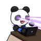 3847