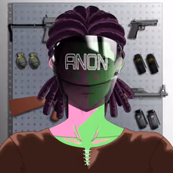 ANONmode #252