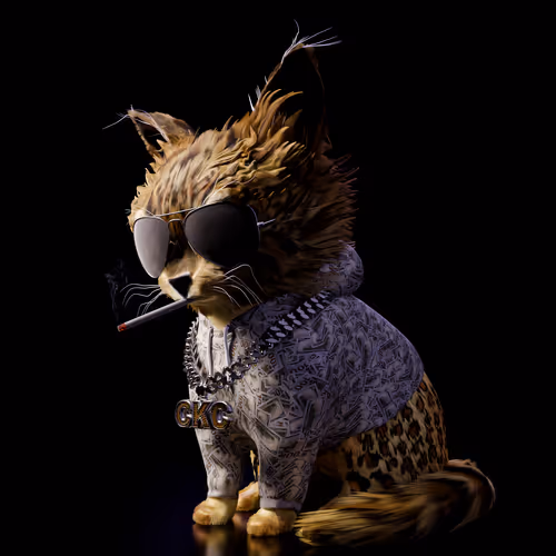Money Kitty