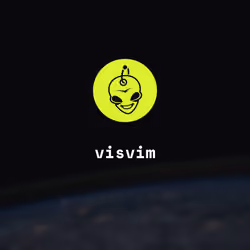 visvim