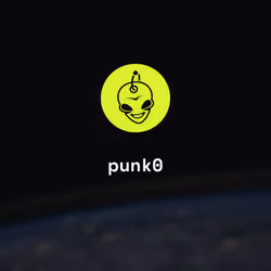 punk0
