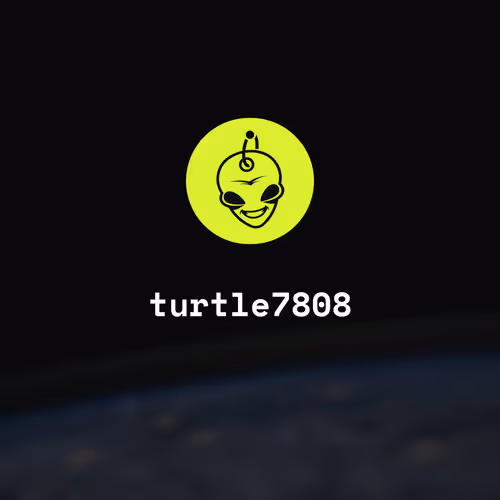 turtle7808