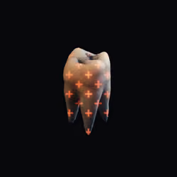 A TOOTH IS A CROWN INVERTED #2/5