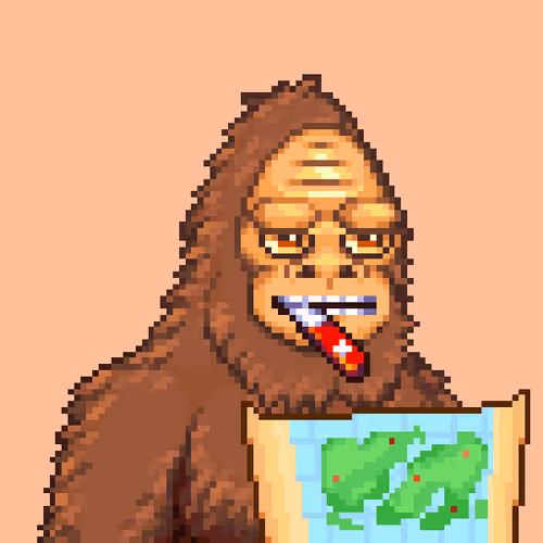 Bigfoot Sighting