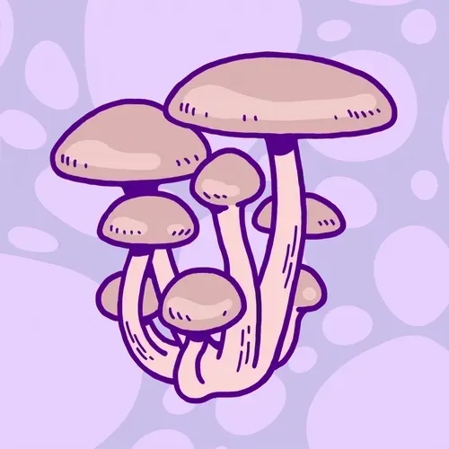 Dirty S3 Shrooms