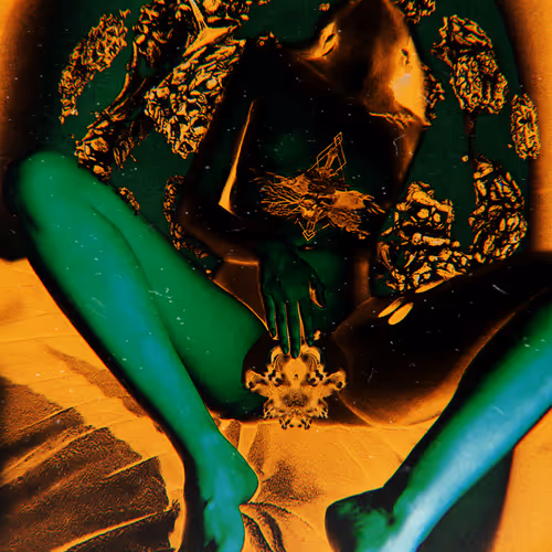 Erotic fractals