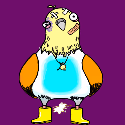 Stoopid Pigeons Nft